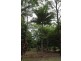 345 Old Bruce Highway,, Tanawha QLD 4556