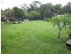 9 Bli Bli Road, Bli Bli QLD 4560