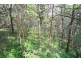425 Wilson Road, Tanawha QLD 4556