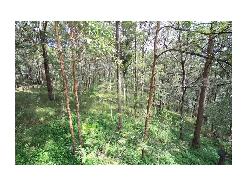 425 Wilson Road, Tanawha QLD 4556