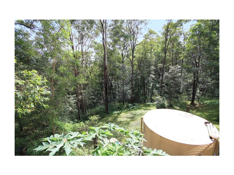425 Wilson Road, Tanawha QLD 4556
