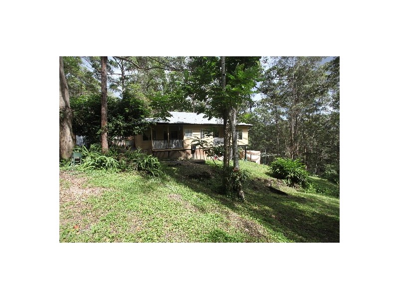 425 Wilson Road, Tanawha QLD 4556