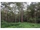 425 Wilson Road, Tanawha QLD 4556