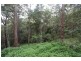 425 Wilson Road, Tanawha QLD 4556