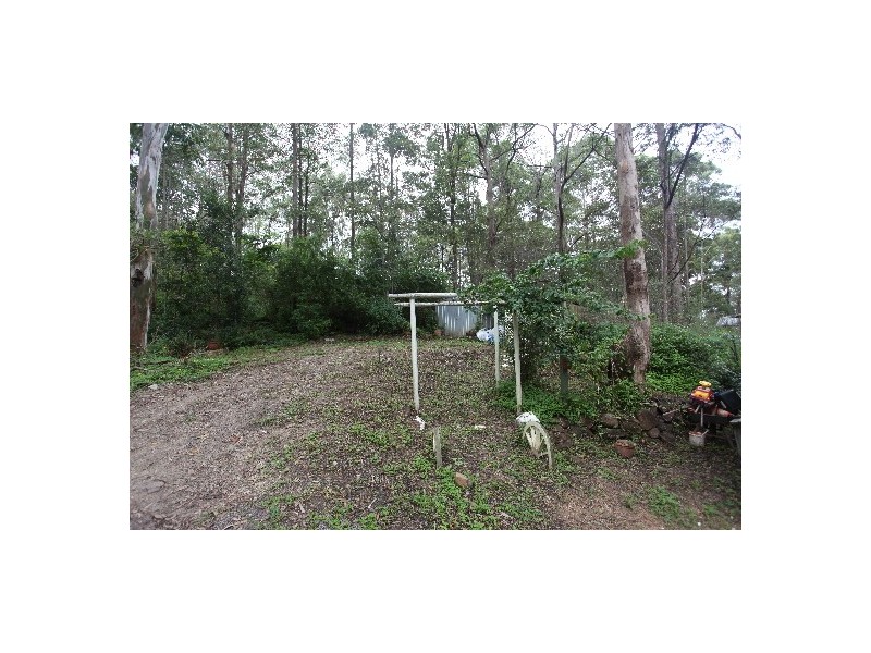 425 Wilson Road, Tanawha QLD 4556
