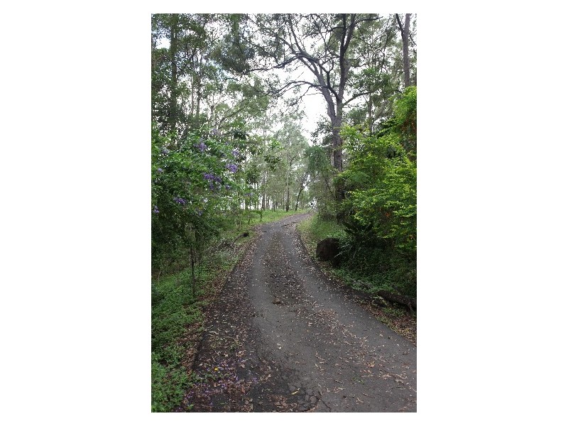 425 Wilson Road, Tanawha QLD 4556