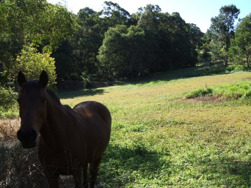 144 Bli Bli Road, Bli Bli QLD 4560