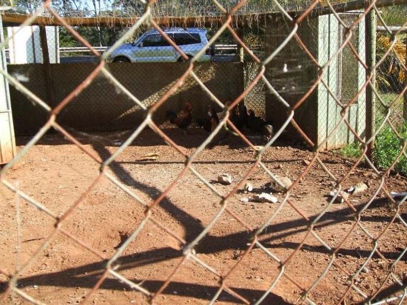 144 Bli Bli Road, Bli Bli QLD 4560