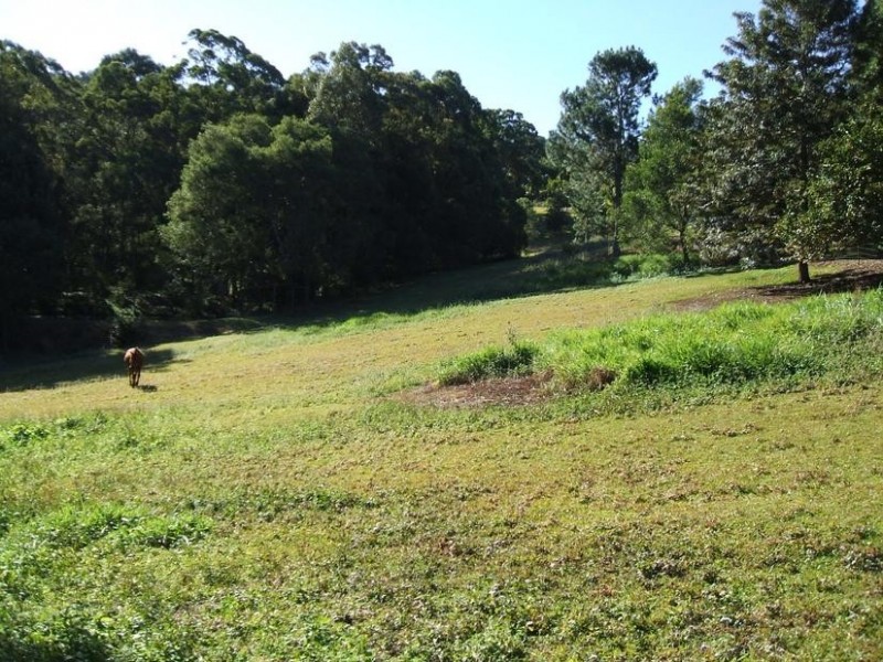 144 Bli Bli Road, Bli Bli QLD 4560