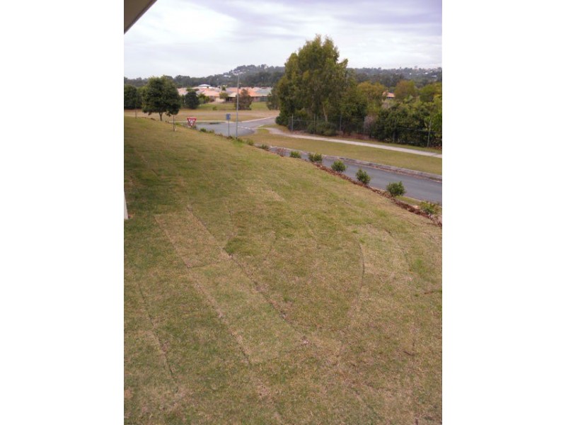 1 Elizabeth Farm Court, Maroochydore QLD 4558