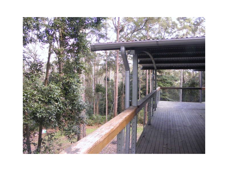496 Diddillibah Road, Diddillibah QLD 4559