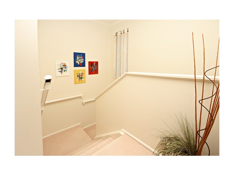 5/167 Cassandra, 167 Bradman Avenue, Maroochydore QLD 4558