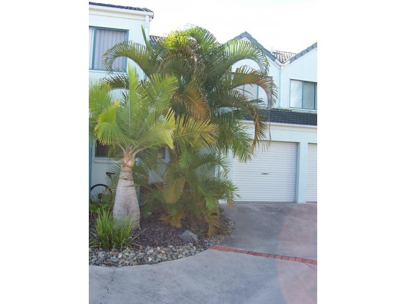 17/28 Fairway Gardens, Dalton Drive, Maroochydore QLD 4558