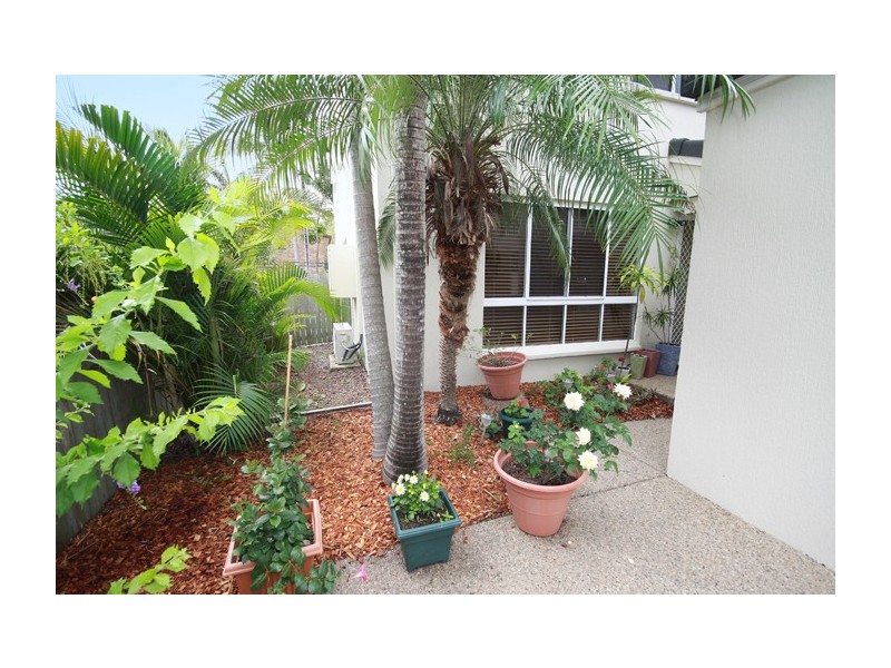 1/139 Waterview Terrace, 139 Tepequar Drive, Maroochydore QLD 4558