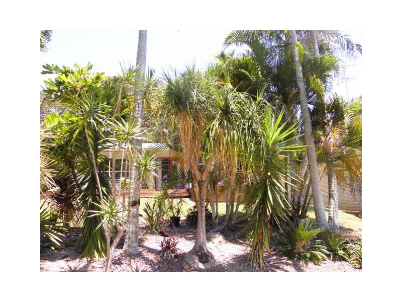 9 Ellesmere Avenue, Bli Bli QLD 4560