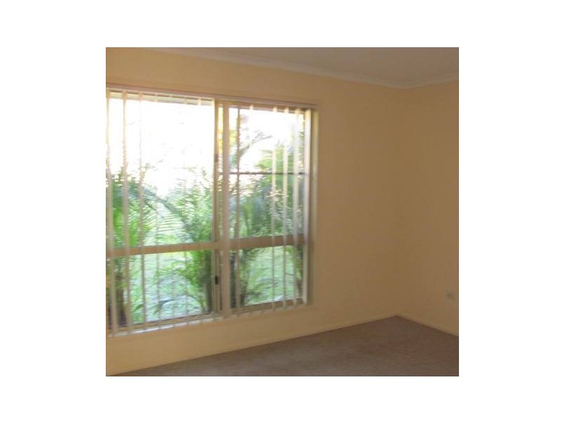 12 Jalumba Street, Maroochydore QLD 4558