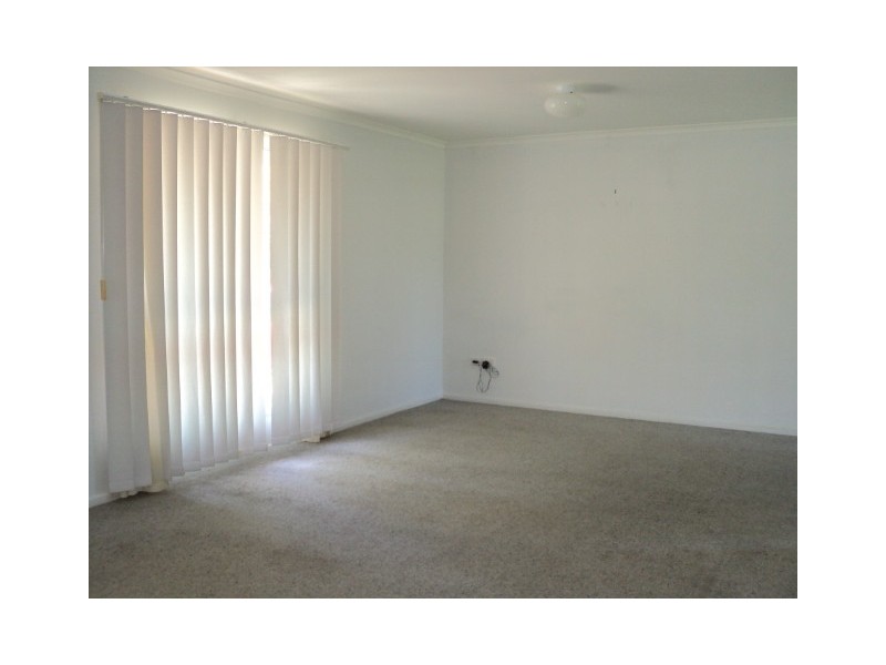 5 Blackwood Street, Maroochydore QLD 4558