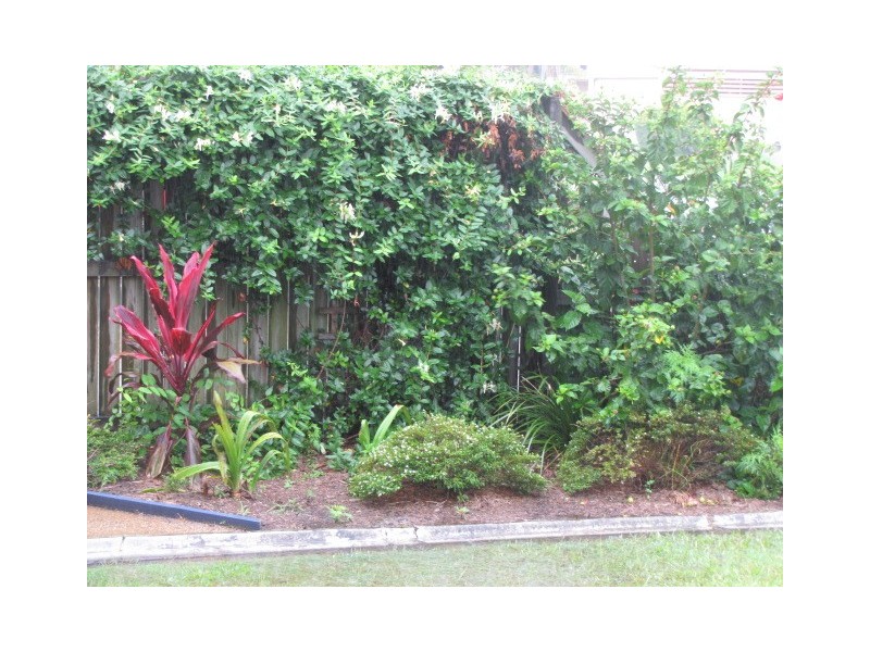 15/14 Maple Grove, Glen Kyle Drive, Buderim QLD 4556