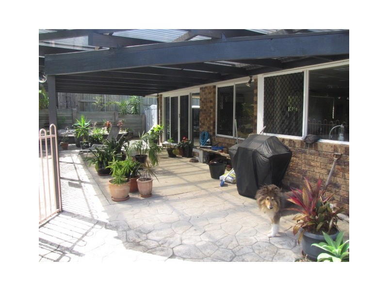 19 Pindari Street, Maroochydore QLD 4558