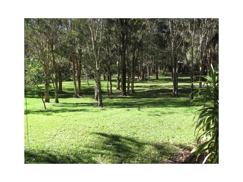 17 Cunning Road, Tanawha QLD 4556