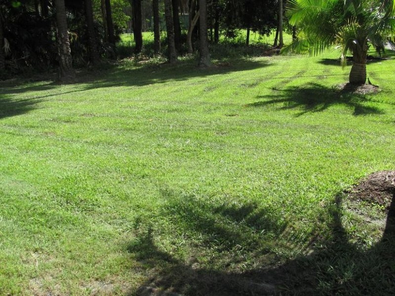 4 Cunning Road, Tanawha QLD 4556