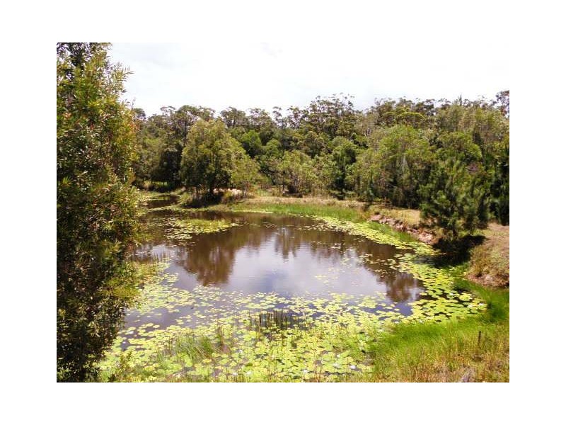 6/46 ‘Park Lake Villas’ Park Lake Drive, Bli Bli QLD 4560