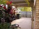 9 Clementine Crescent, Bli Bli QLD 4560