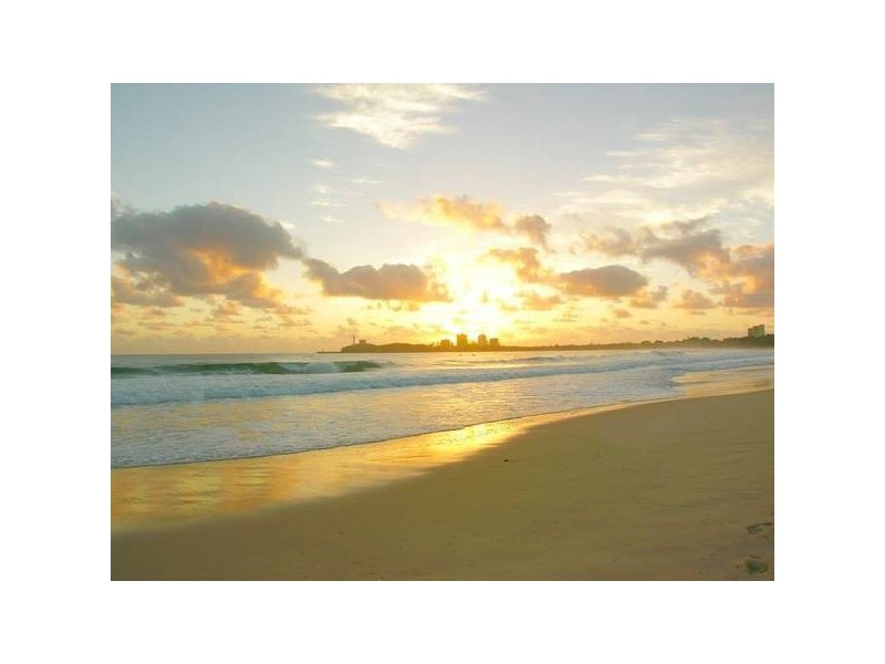 Cotton Tree QLD 4558