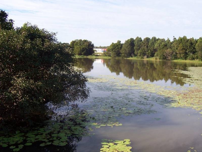 Maroochydore QLD 4558