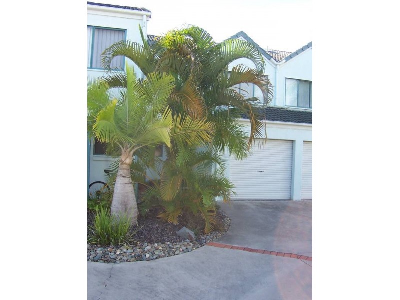 Maroochydore QLD 4558