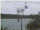Maroochydore QLD 4558