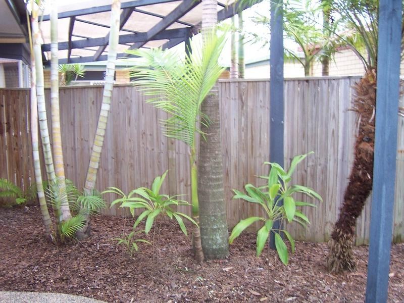 U13/14 Maple Grove,Glen Kyle Drive, Maroochydore QLD 4558