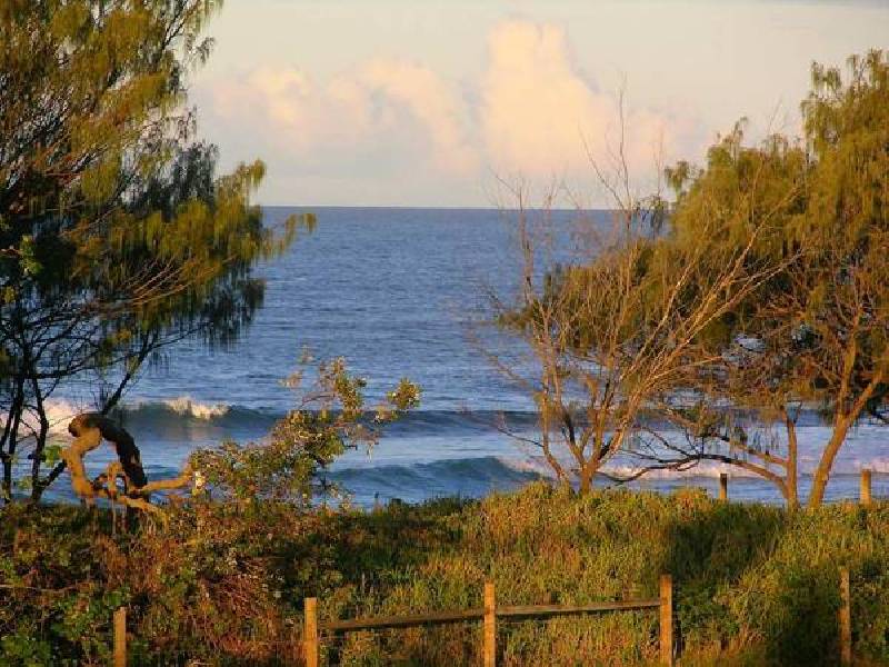 303/180 Alexandra Parade, Alexandra Headland QLD 4572