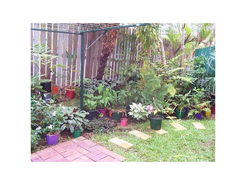 Maroochydore QLD 4558