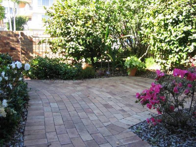 Richard Street, Cotton Tree QLD 4558