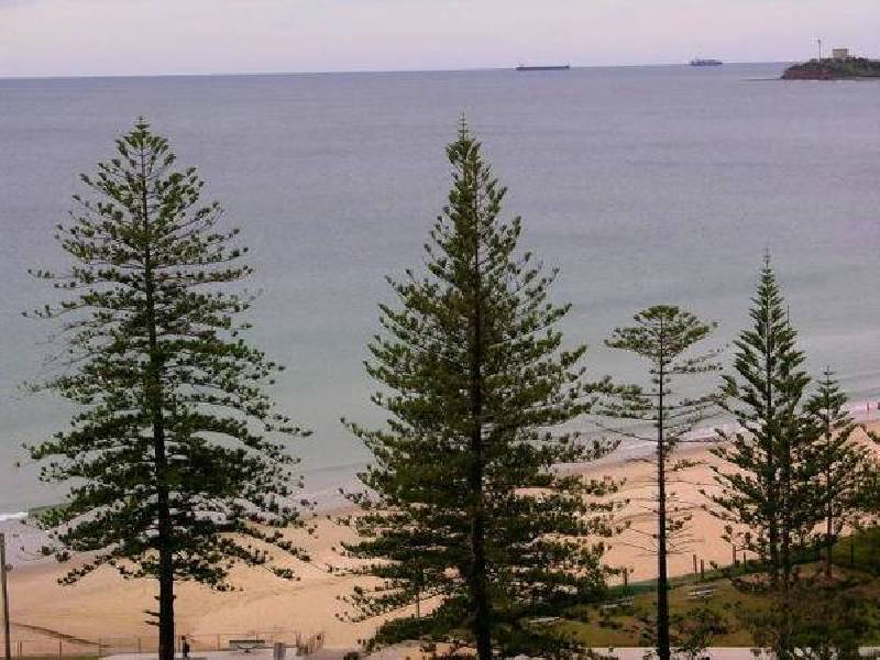 Alexandra Parade, Alexandra Headland QLD 4572