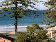 Pacific Terrace, Alexandra Headland QLD 4572