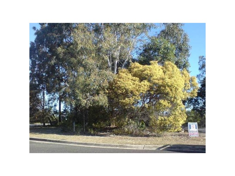 373 Lenkunya Place, Mountain Creek QLD 4557