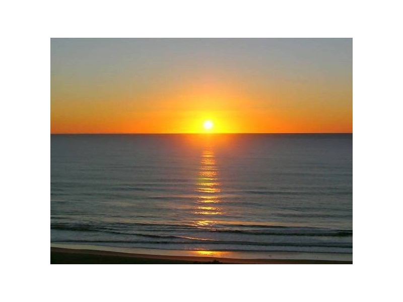 Maroochydore QLD 4558