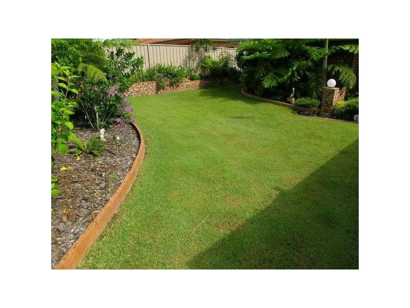 12 Gumnut Court, Buderim QLD 4556