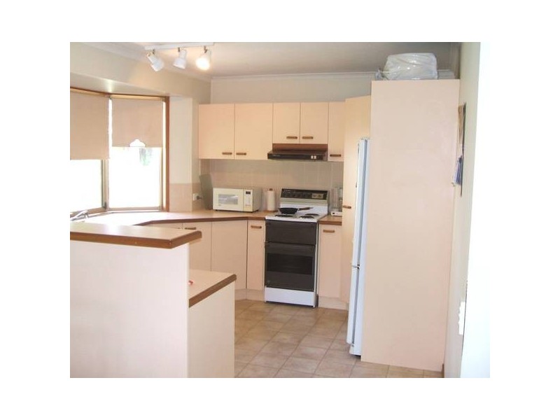 63 Wrigley Street, Maroochydore QLD 4558