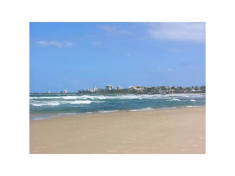 63 Wrigley Street, Maroochydore QLD 4558