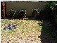 1/8 Primary School Crt, Maroochydore QLD 4558