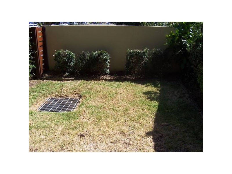 1/8 Primary School Crt, Maroochydore QLD 4558