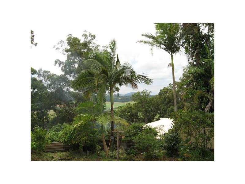 Rosemount QLD 4560