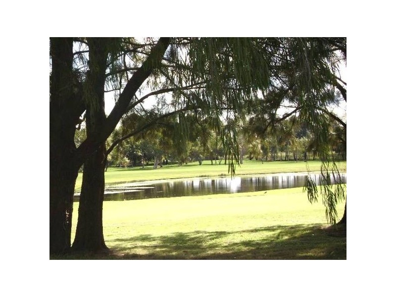 25 Hazeltine Court, Maroochydore QLD 4558