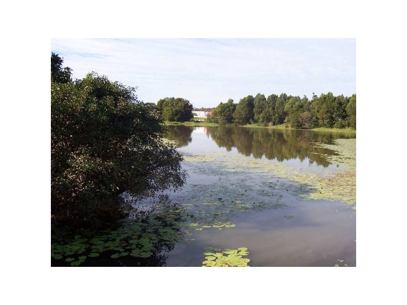 17/28 Dalton Drive, Maroochydore QLD 4558