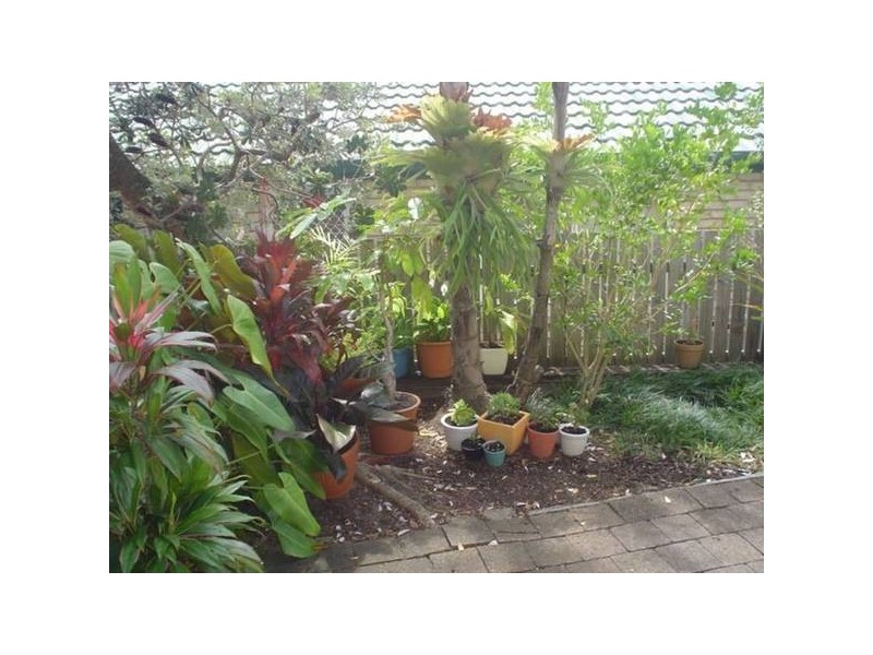 3/18 ‘Sunquest Terraces’, Arwen Street, Maroochydore QLD 4558