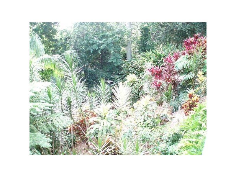 22 Alicia Close, Buderim QLD 4556