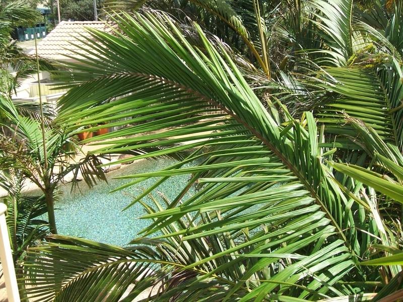 3/15 ‘Cotton Tree Terraces’, Fifth Avenue,, Cotton Tree QLD 4558